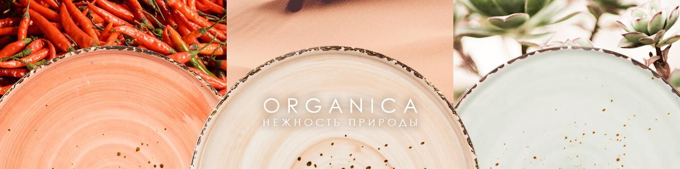 Поступление цветного фарфора Organica!