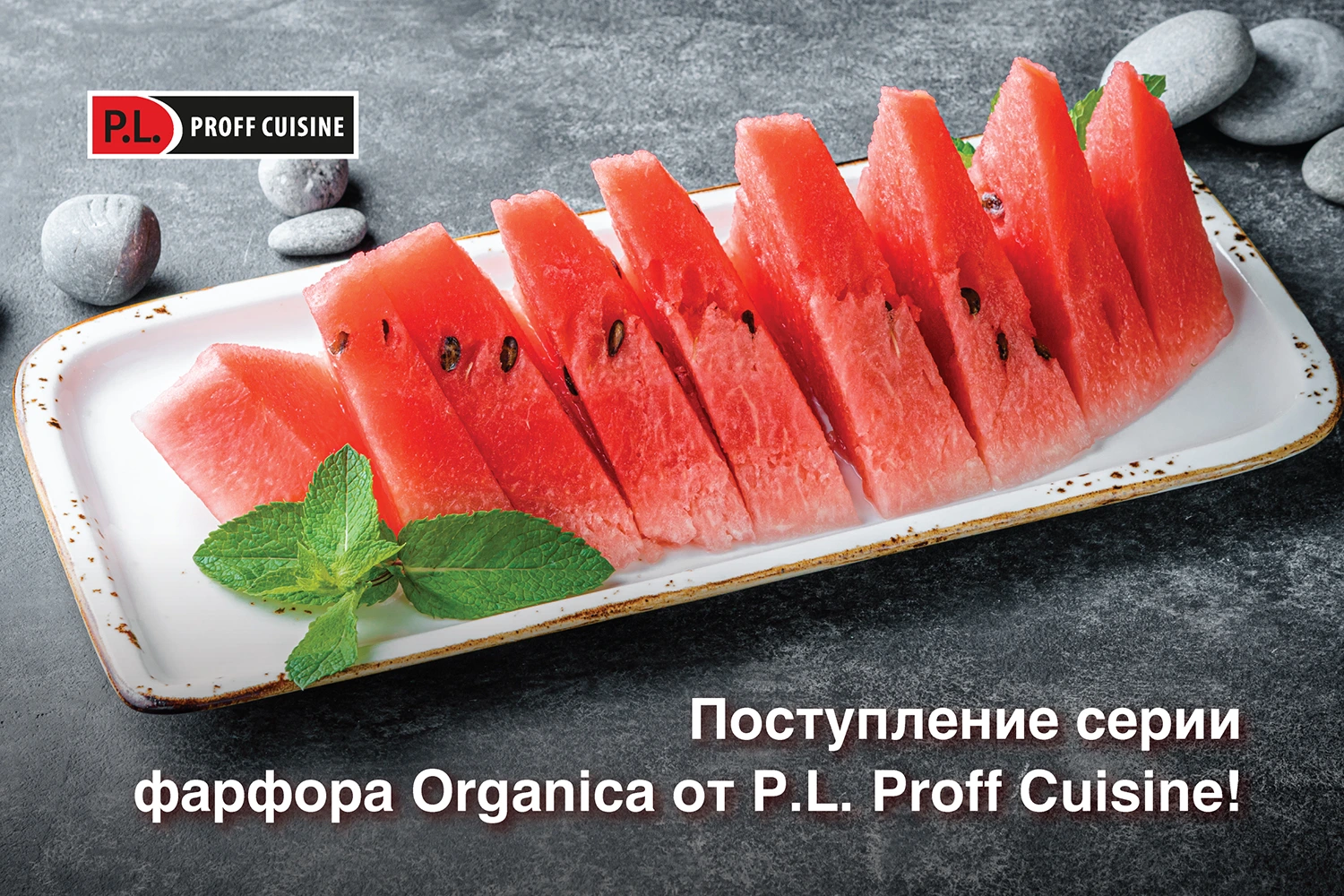 Поступление серии фарфора Organica от P.L. Proff Cuisine!