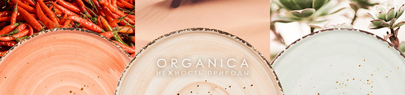 Поступление классического фарфора и коллекции Organica